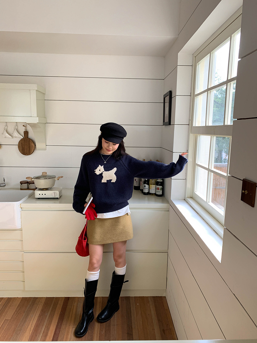 3th Morning North Island Park Korean Style Youthful Dog Embroidered Round Neck Pullover Sweater ZY2381 pic 72