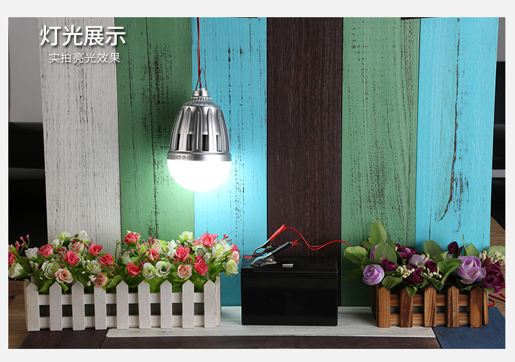 12V night market battery bulb lamp LED low-voltage street lamp pic 9