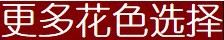 更多花色选择