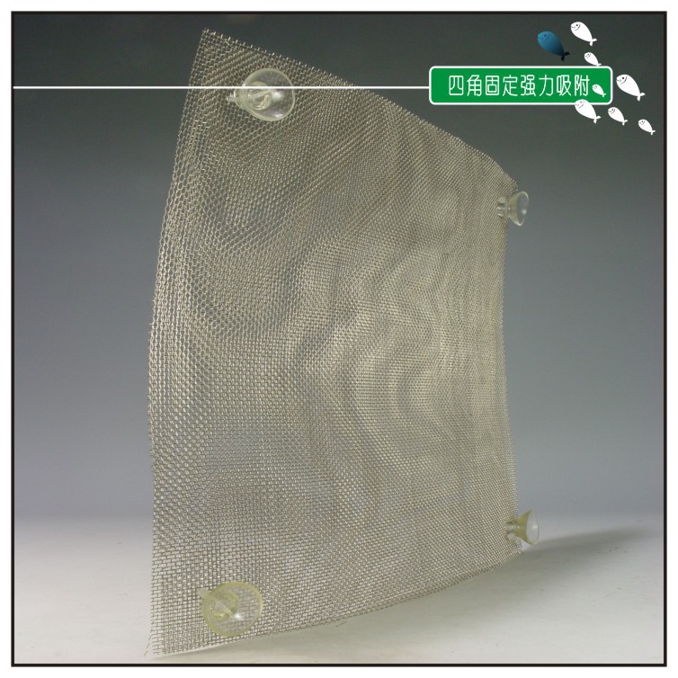 优质高透明扎带吸盘 进出水固定创意莫丝片莫斯墙制作 固定悬浮球详情12