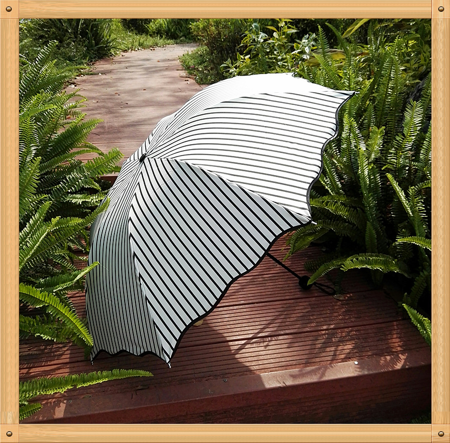 Factory direct sales of black and white striped vinyl umbrellas, Korean version of Apollo three-fold UV protection and sunshade sun umbrellas pic 7