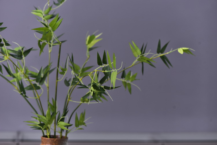 Factory direct sales of artificial bamboo leaves, new Chinese style Zen-like artificial leaves wholesale, 2-prong bamboo leaves, flower and leaf materials, green plants, Lanjin artificial plants pic 11
