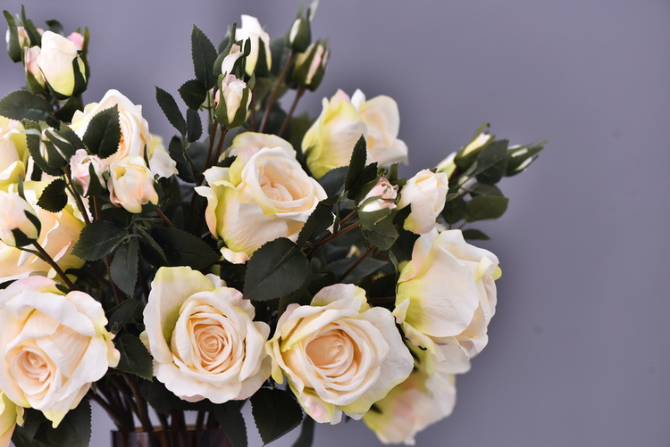 Factory wholesale of 5-head simulated rose with charred edges, retro Greek rose, living room, hotel and homestay photography props rose pic 39