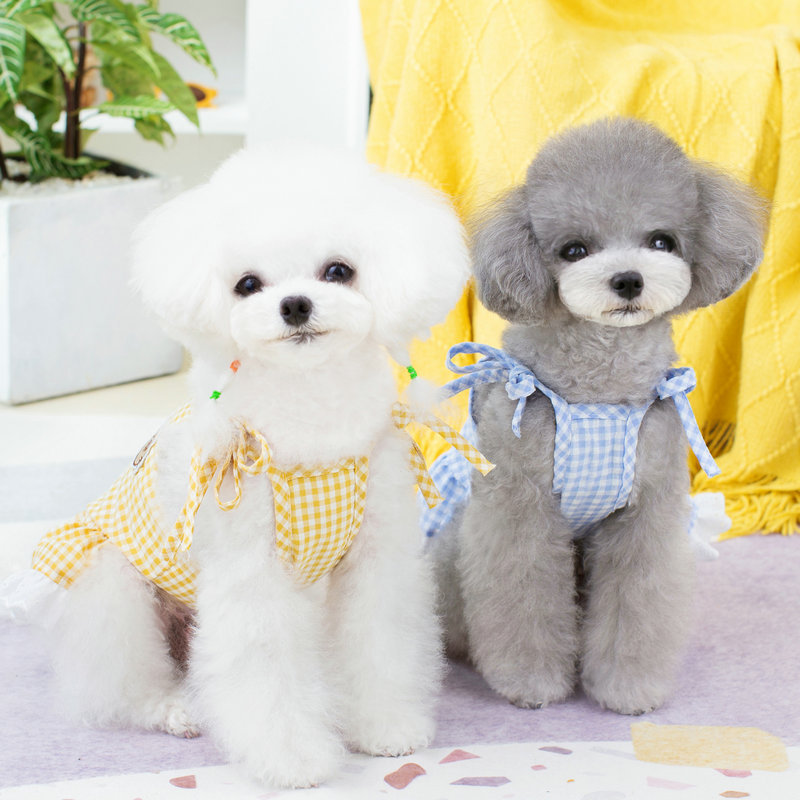 春夏新款宠物衣服彩扣花边裙中小型犬可爱时尚狗狗衣服服饰详情3