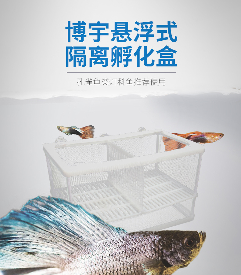 BOYU Boyu Guppy isolation box, Brine Shrimp Incubator, Incubation Box, Fish Tank isolation Box, Breeding Box FH101 pic 6