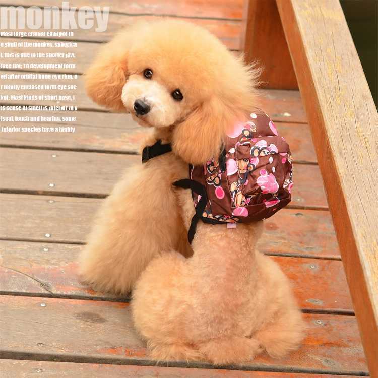 Pet backpack for portable and cute cartoon dog backpack with built-in leash. Dog schoolbag and pet backpack pic 13