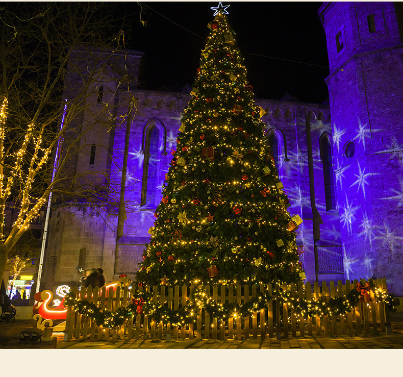 Remote-controlled Christmas tree, green wire LED copper wire light, star color light, string light, starry sky, courtyard green plant, rattan flower wreath light pic 29