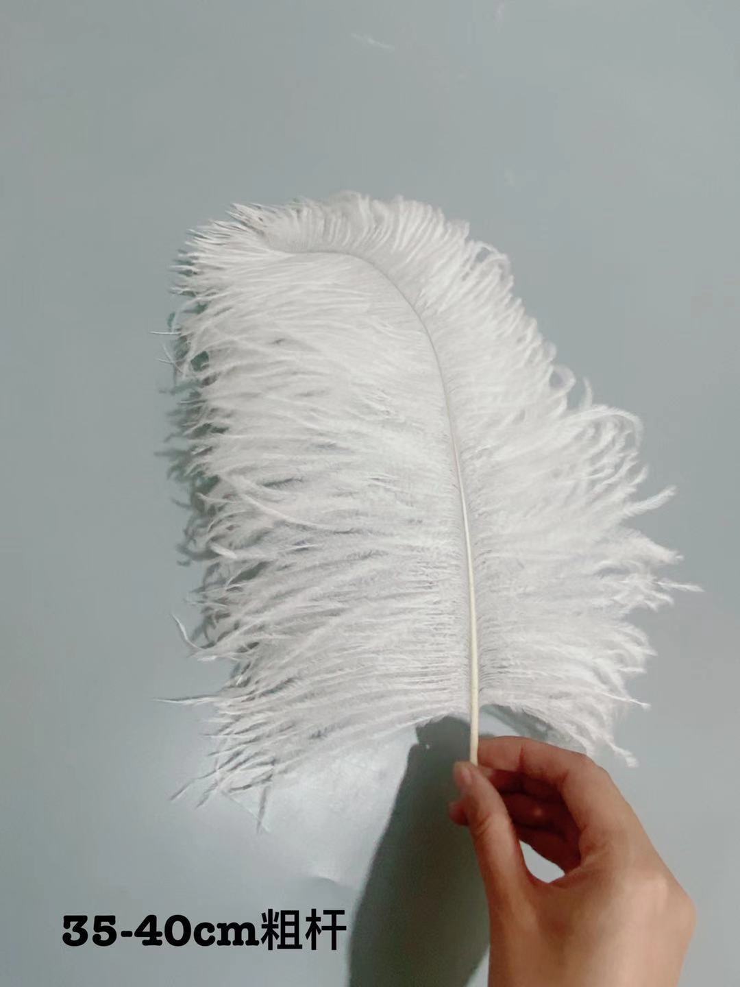 Factory stock: 35-40 cm ostrich feathers for wedding decoration, home decoration, table lamp feathers pic 38