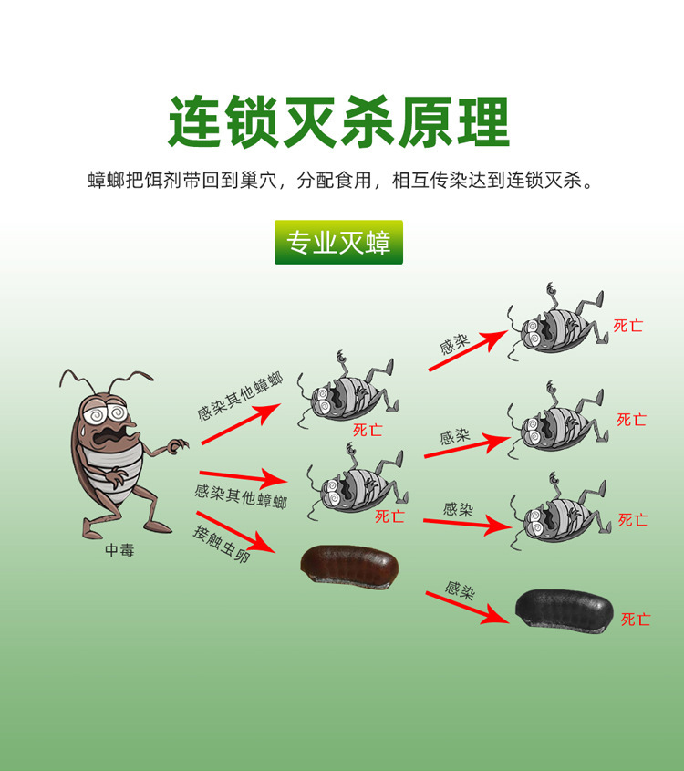 绿叶蟑螂药胶饵剂灭蟑螂家用杀除灭蟑清杀蟑螂药粉剂百货批发详情7