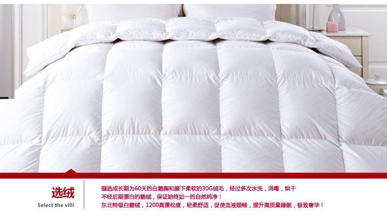 Seven-star hotel supplies: White goose down quilt, high-end down quilt core pic 13