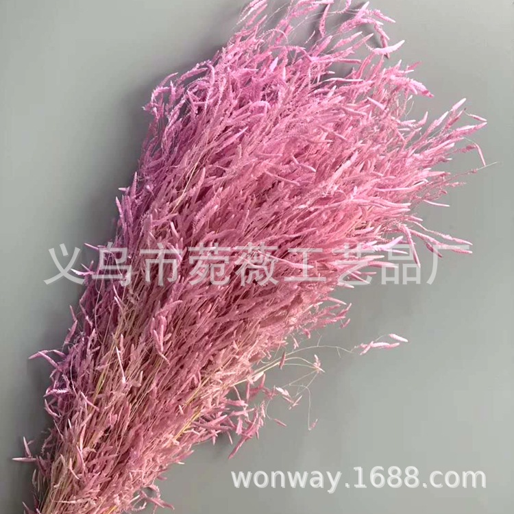 Natural plant preserved dried flowers, imported wind-driven grass handicrafts, flower arrangement, floating bottle, keychain with grass pic 2