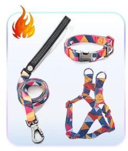 狗狗牵引绳小型犬中大型遛狗绳子渐变色狗链子胸背带宠物用品项圈详情2