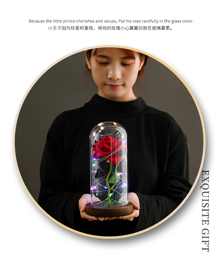 美女与野兽绒布玫瑰花灯玻璃罩灯 永生花小王子玫瑰花情人节礼物详情2