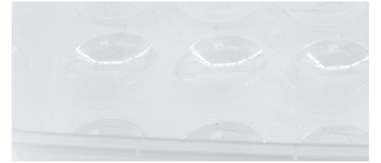 Plastic preservation box, 24-compartment egg box, refrigerator preservation storage box, double-layer tray packaging box, egg box pic 4