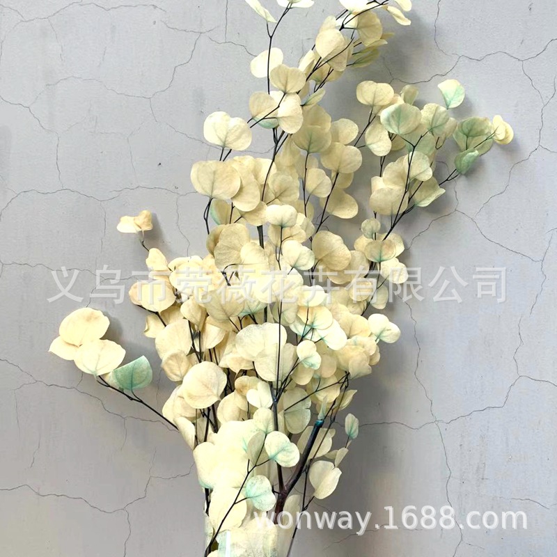 微信图片_20201116133318