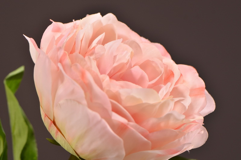 Wholesale of artificial large-branch peonies for home, hotel, restaurant soft decoration, artificial flowers and artificial paeonies from the manufacturer pic 7