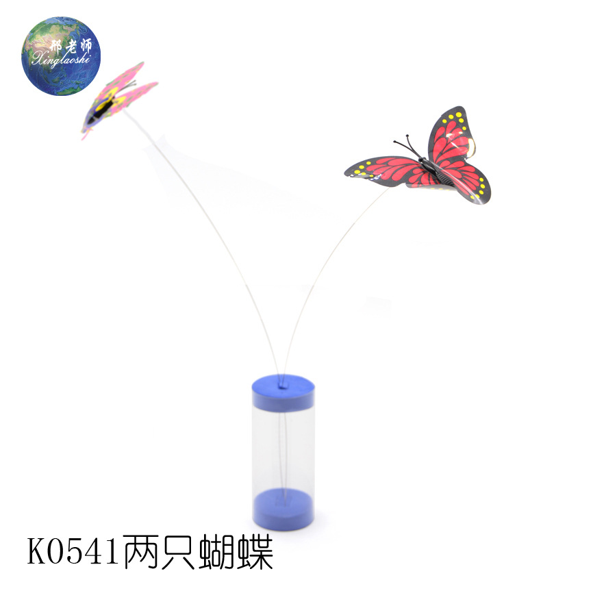K0541 Two Butterflies Technology Small Creations and Inventions by Teacher Xing pic 5