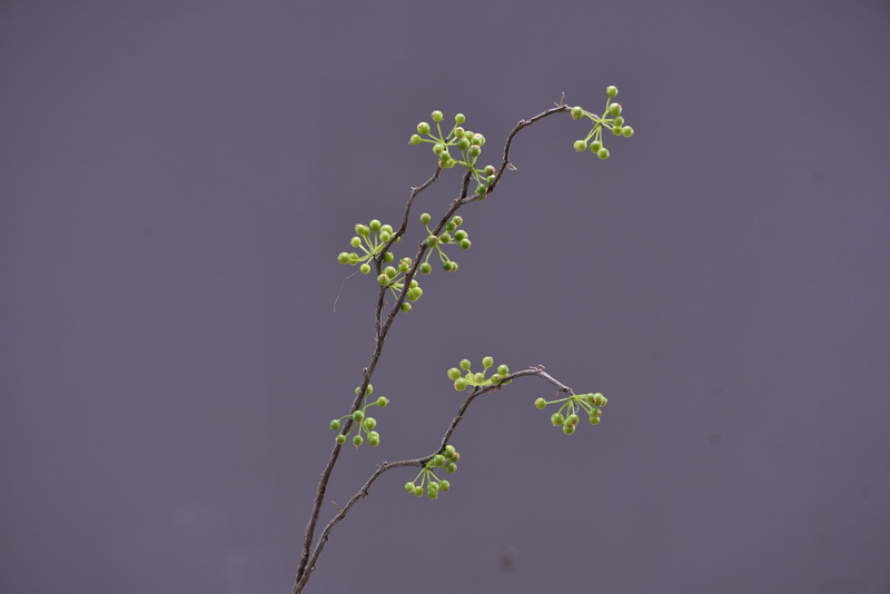 Lanjin Artificial Fruit Factory Direct Sales, wholesale of artificial berries, artificial green vine fruits, Chinese modern and simple decoration, winter green fruits, and mountain prosperity fruits pic 14