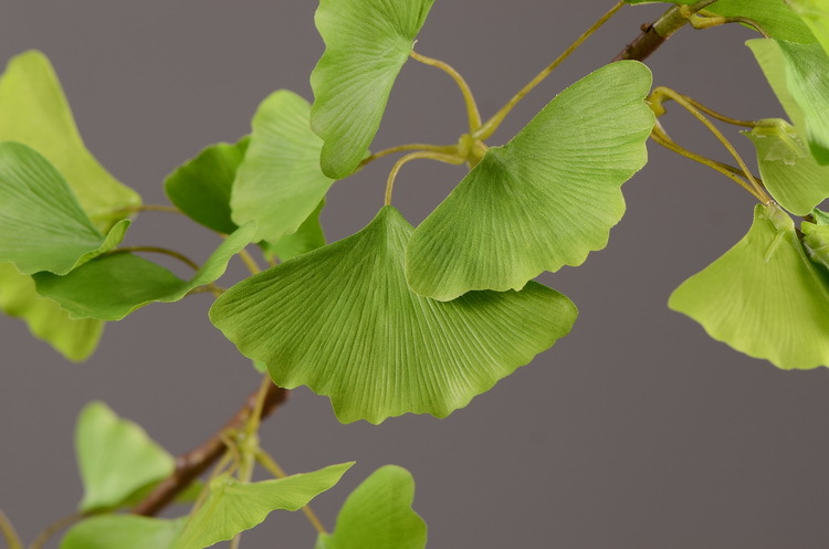 Dongli yellow artificial leaves, artificial ginkgo leaves, artificial trees, engineering landscaping, wedding decoration, artificial branches, Nordic artificial plant leaves pic 10