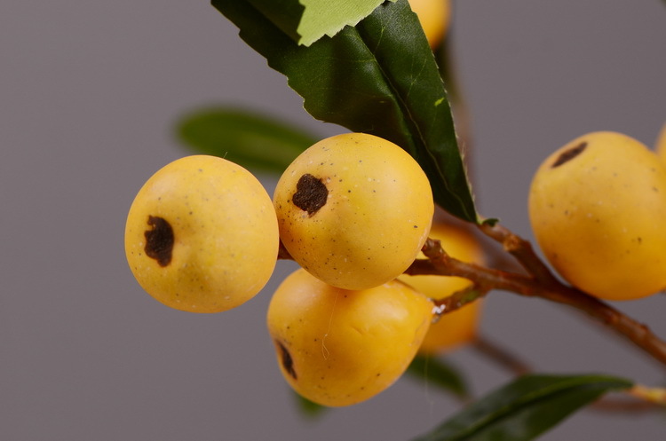 Factory direct sales of artificial loquat fruit branches, Chinese modern and simple soft decoration, artificial berries wholesale, prosperity fruit pic 4