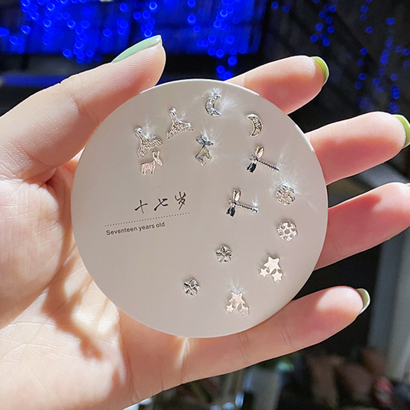 Exquisite and compact one-week stud set of earrings, 2023 new trendy and simple S925 earrings for women pic 56