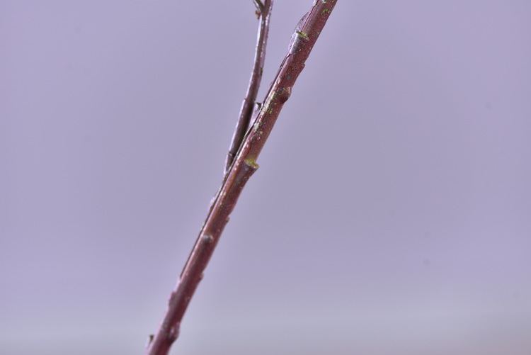 Factory direct sales of high-end artificial handballs, high-end artificial snowball flowers wholesale, modern and simple ins popular decorative artificial flowers pic 23