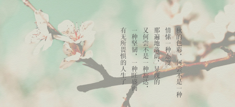 4色入纯色翻领长袖衬衫外套女宽松2024秋季新款文艺大口袋衬衣潮详情1