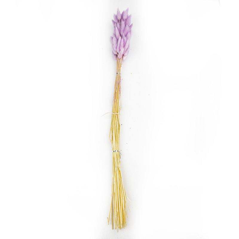 兔尾草干花真花永生花满天星干花花束批发家居装饰插花拍摄道具                               详情21