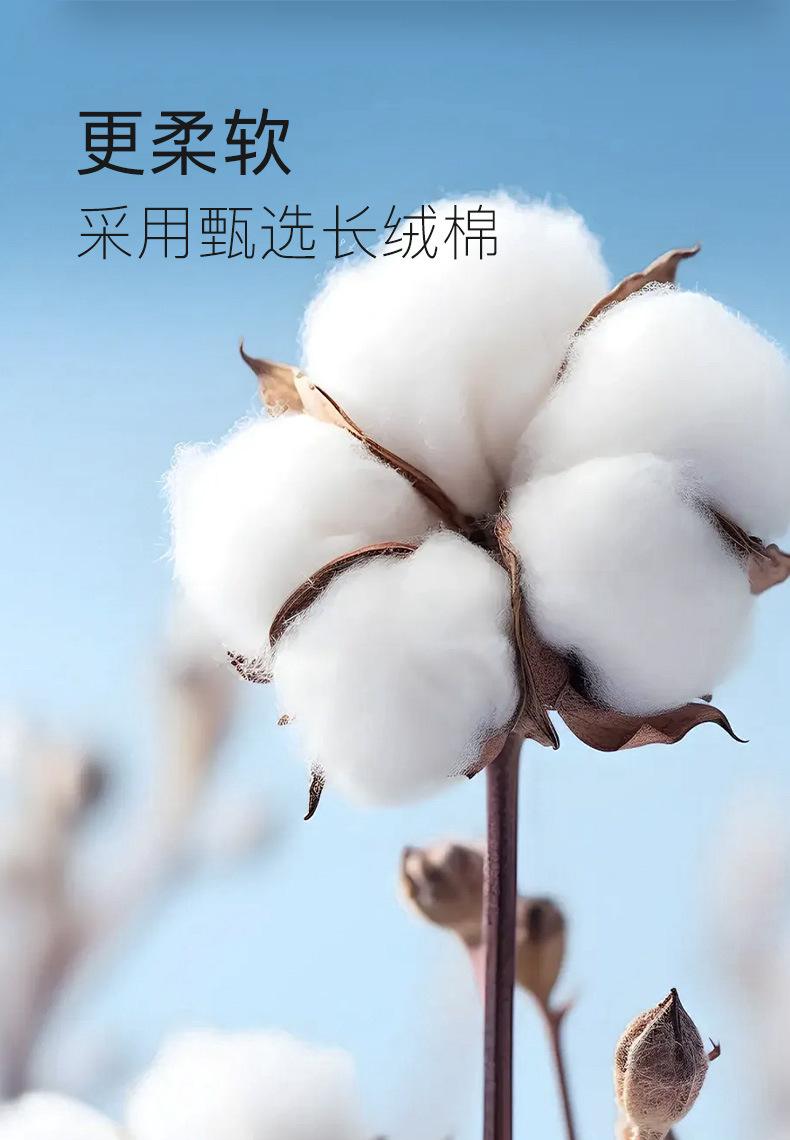 100s全棉DP免烫衬衫女士短袖修身职业面试商务通勤正装工服衬衣详情9