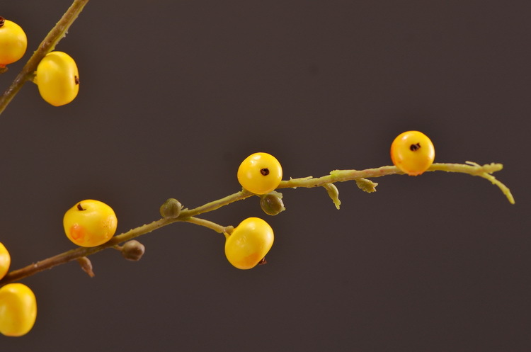 Artificial rosehip, artificial plant fruit, berry, American decorative floral arrangement materials, photography props pic 35