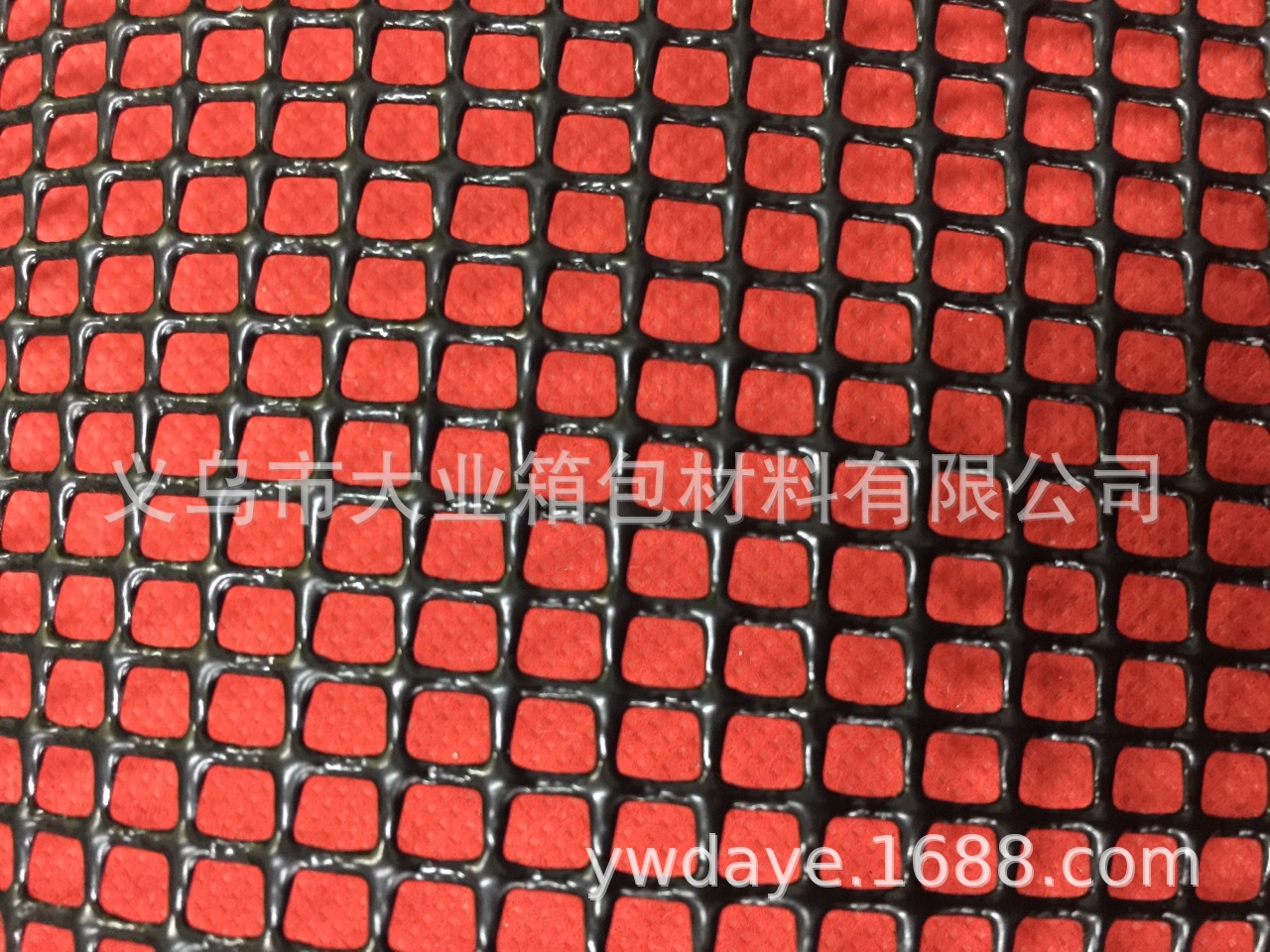 IMG_3358 (1)