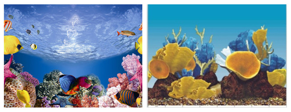 60cm double-sided thick fish tank background painting aquarium decoration background painting can be customized for multiple types of aquariums pic 7