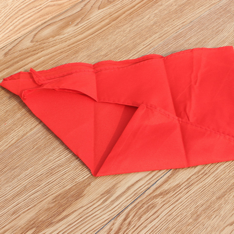 上汇3230红领巾4