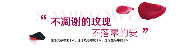 24K金箔玫瑰花 圣诞节仿真金玫瑰带礼盒 创意活动赠品批发详情5