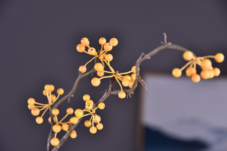 Lanjin Artificial Fruit Factory Direct Sales, wholesale of artificial berries, artificial green vine fruits, Chinese modern and simple decoration, winter green fruits, and mountain prosperity fruits pic 25
