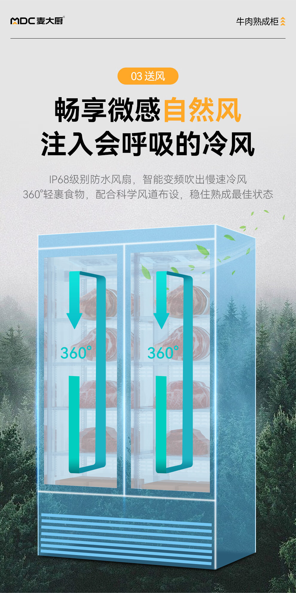 麦大厨家用牛排智能冷藏柜干式恒温柜高端排酸柜牛肉熟成柜商用详情9