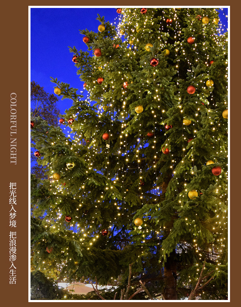 Remote-controlled Christmas tree, green wire LED copper wire light, star color light, string light, starry sky, courtyard green plant, rattan flower wreath light pic 23