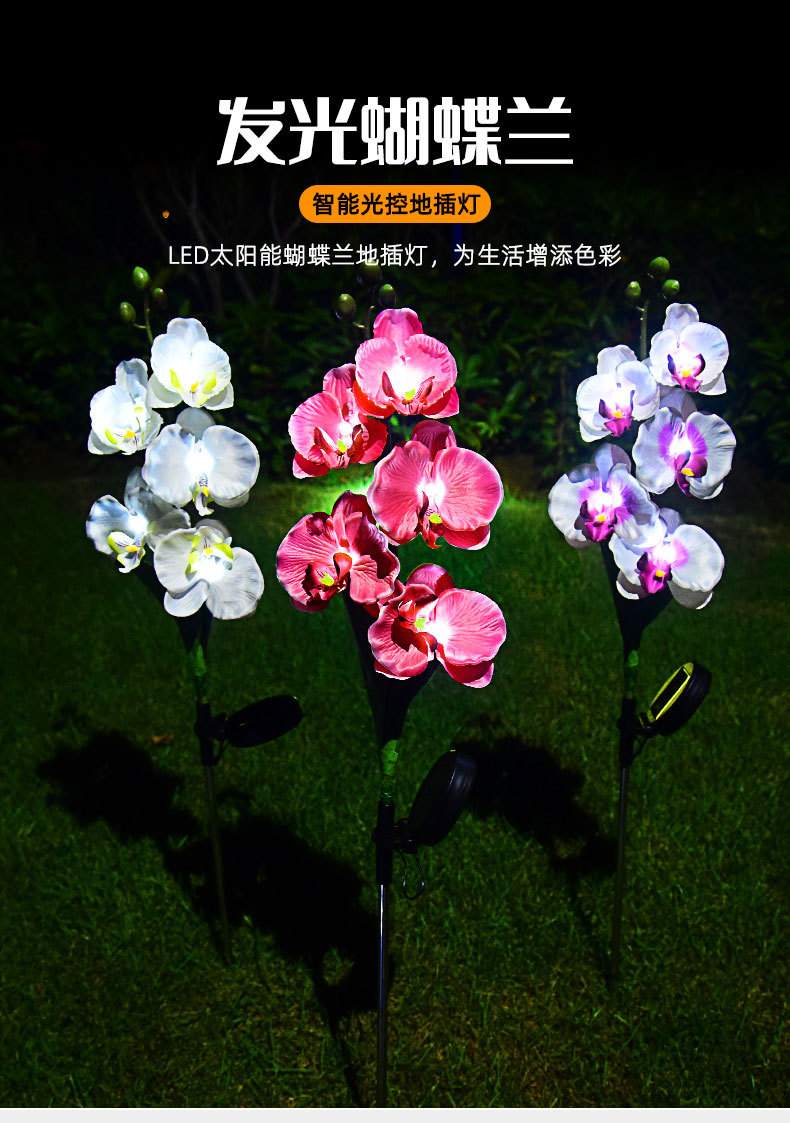 Cross-border solar lamps, simulated flower Phalaenopsis, ground insert lamps, outdoor courtyard lamps, landscape, festival and garden decorations pic 1