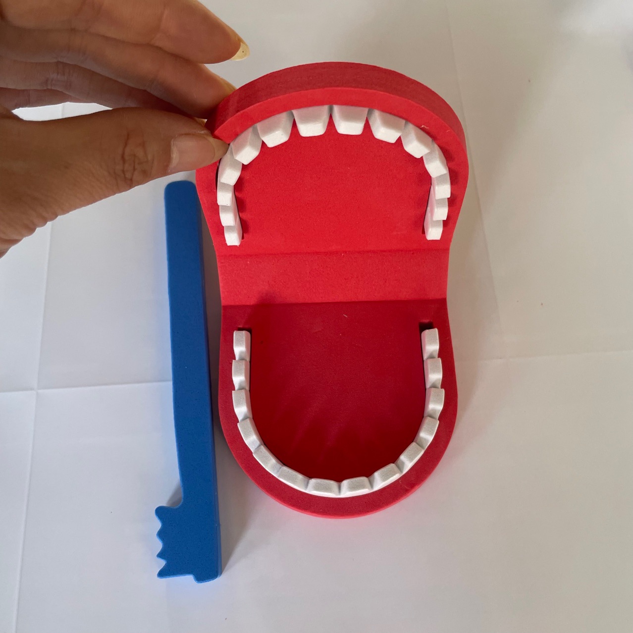 牙齿教具幼儿园牙齿模型早教玩具牙齿模型教学牙齿制作详情2