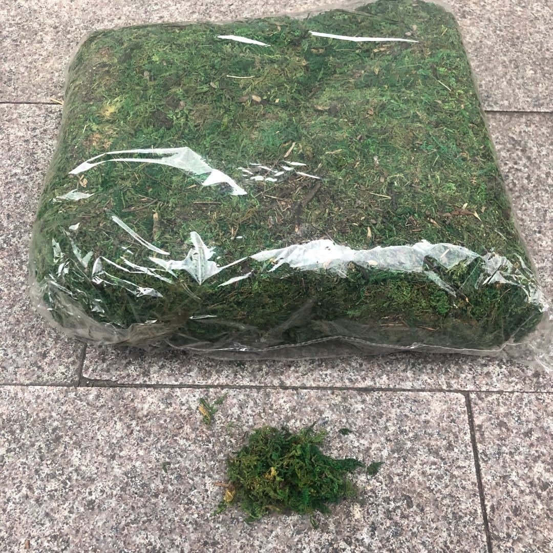Artificial flowers, artificial lawns, artificial trees, artificial flowers, artificial lawns, artificial tree trunks, water moss, fresh moss, artificial green moss, bonsai, decorative landscaping, green moss, moss grass, artificial flowers, artificial lawns, artificial trees pic 2