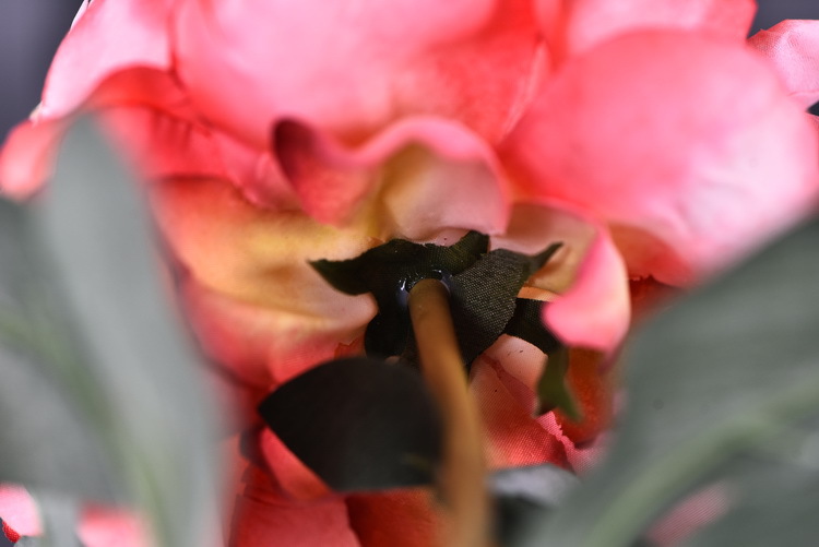 Factory direct sales of 2 simulated peonies, retro charred edge simulated peonies, soft decoration floral art for living rooms, lobbies and homestays pic 48