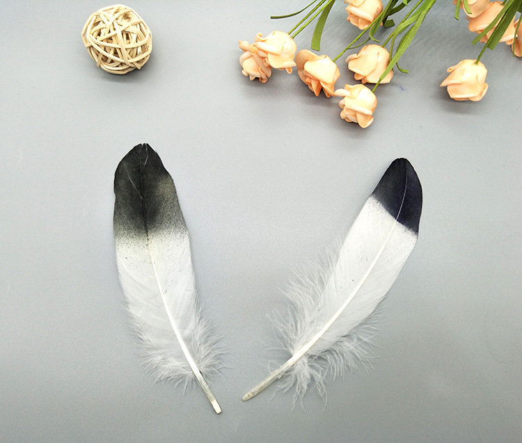 A large quill feather gift box with all-gold and all-silver feathers, paper card bookmarks and decorative quill pens pic 79