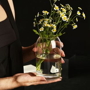高硼硅直筒玻璃花瓶绿萝小鱼缸插花器水培景观花盆花瓶玻璃摆件详情8