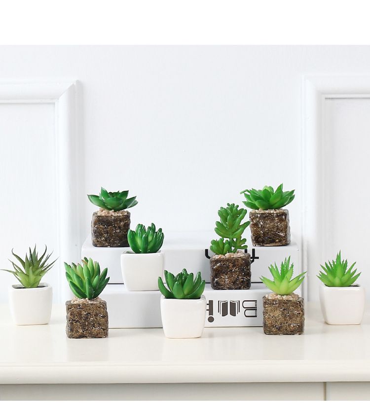 Factory wholesale mini artificial succulent plant potted plants, online store shooting props, desktop office decoration ornaments, artificial potted plants pic 12