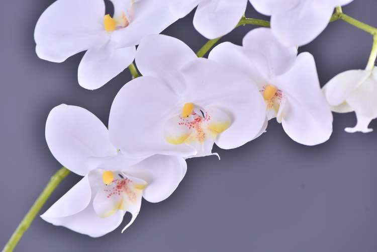Factory supply of simulated Phalaenopsis, modern, simple and light luxury decoration, artificial flower touch, Phalaenopsis hand-painted soft decoration ornaments pic 5