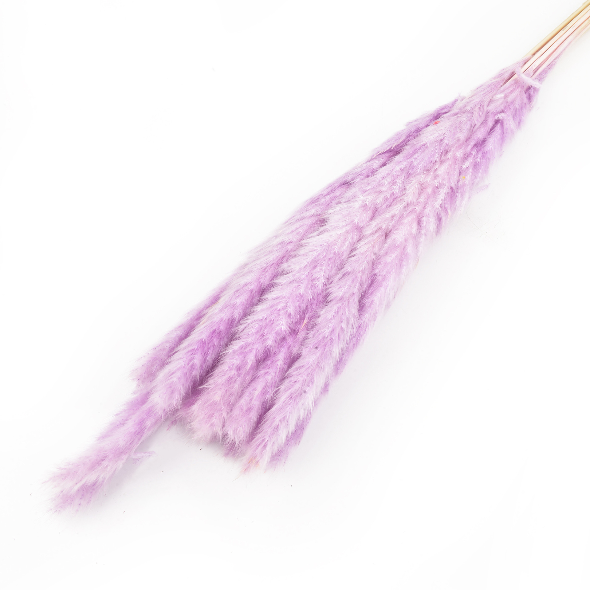 永生花小芦苇干花花束批发ins风家居装饰小芦苇厂家批发                                 详情16