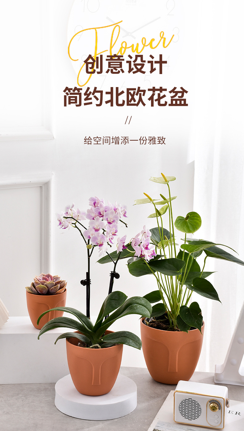 创意设计人脸花盆办公室桌面多肉种植pp塑料花盆简约加厚透气盆栽详情1