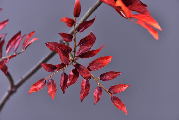 Factory wholesale of artificial leaves, autumn leaves, artificial peach leaves, wood leaves, flower arrangements, leaf materials, soft decoration, visual merchandising, floral design, and plants pic 6