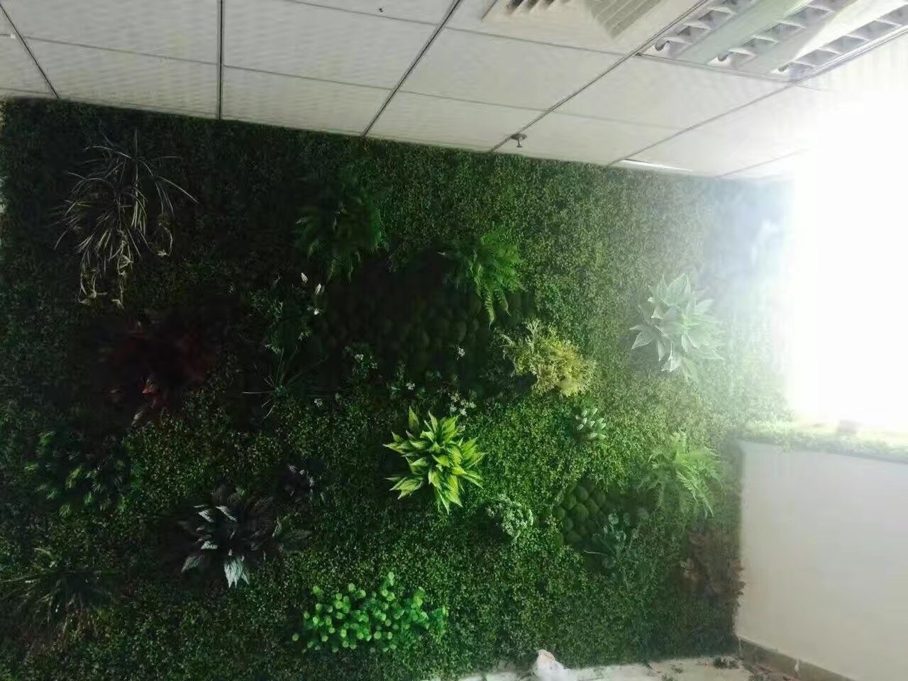 Artificial flowers, artificial lawns, artificial trees, artificial flower, artificial lawn, artificial tree manufacturers, artificial magnolia leaves, artificial plant wall accessories, DIY small bonsai, green plants, hand-held leaves, plant walls, artificial flowers, artificial lawns, artificial trees pic 18