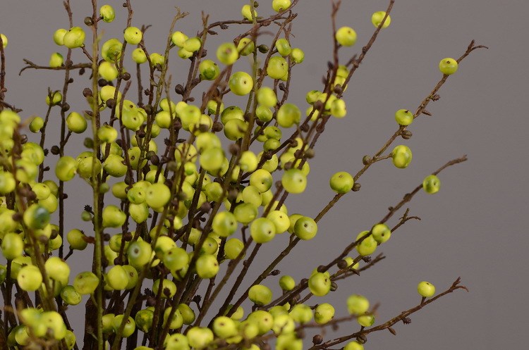 Artificial rosehip, artificial plant fruit, berry, American decorative floral arrangement materials, photography props pic 27